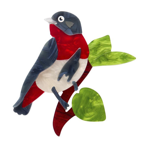 Erstwilder - Mabel the Mistletoebird Brooch