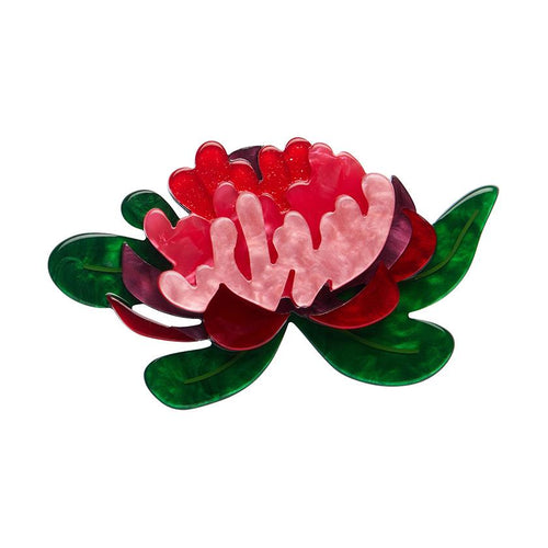 Erstwilder - Seen from Afar Waratah Brooch