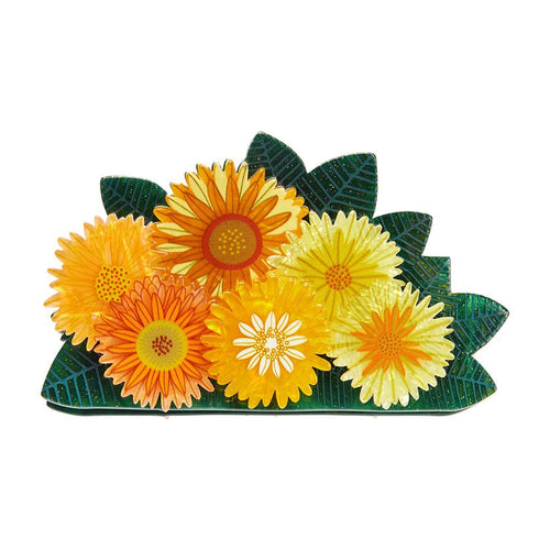 Erstwilder - Forever and Ever Hair Clip Claw