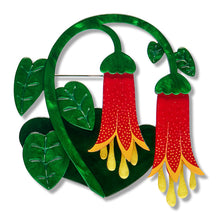 Erstwilder - Common Correa Brooch