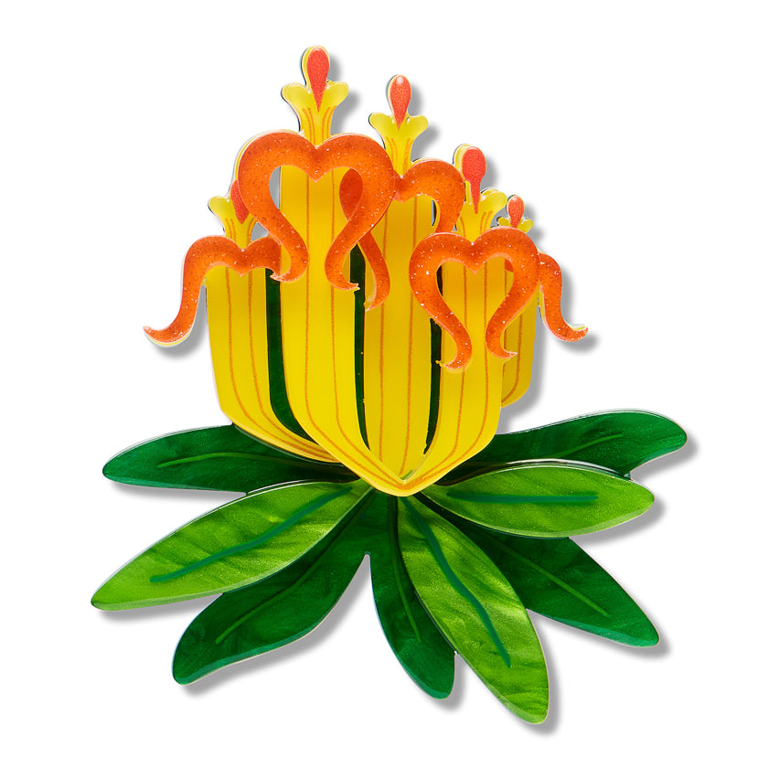 Erstwilder - Long-flower Mistletoe Brooch