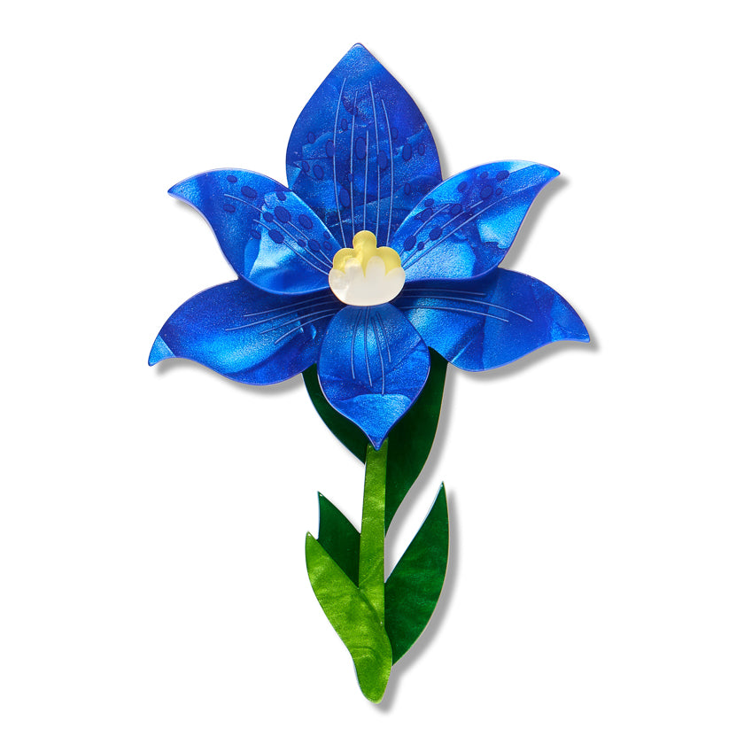 Erstwilder - Spotted Sun-Orchid Brooch