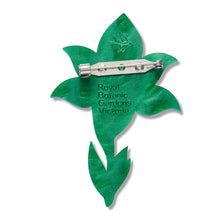 Erstwilder - Spotted Sun-Orchid Brooch