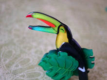 Vera Chan - Happy toucan brooch (Open beak)