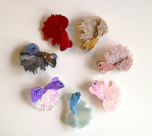 Kimchi and Coconut - Betta Fish Brooch (Pink glitter)